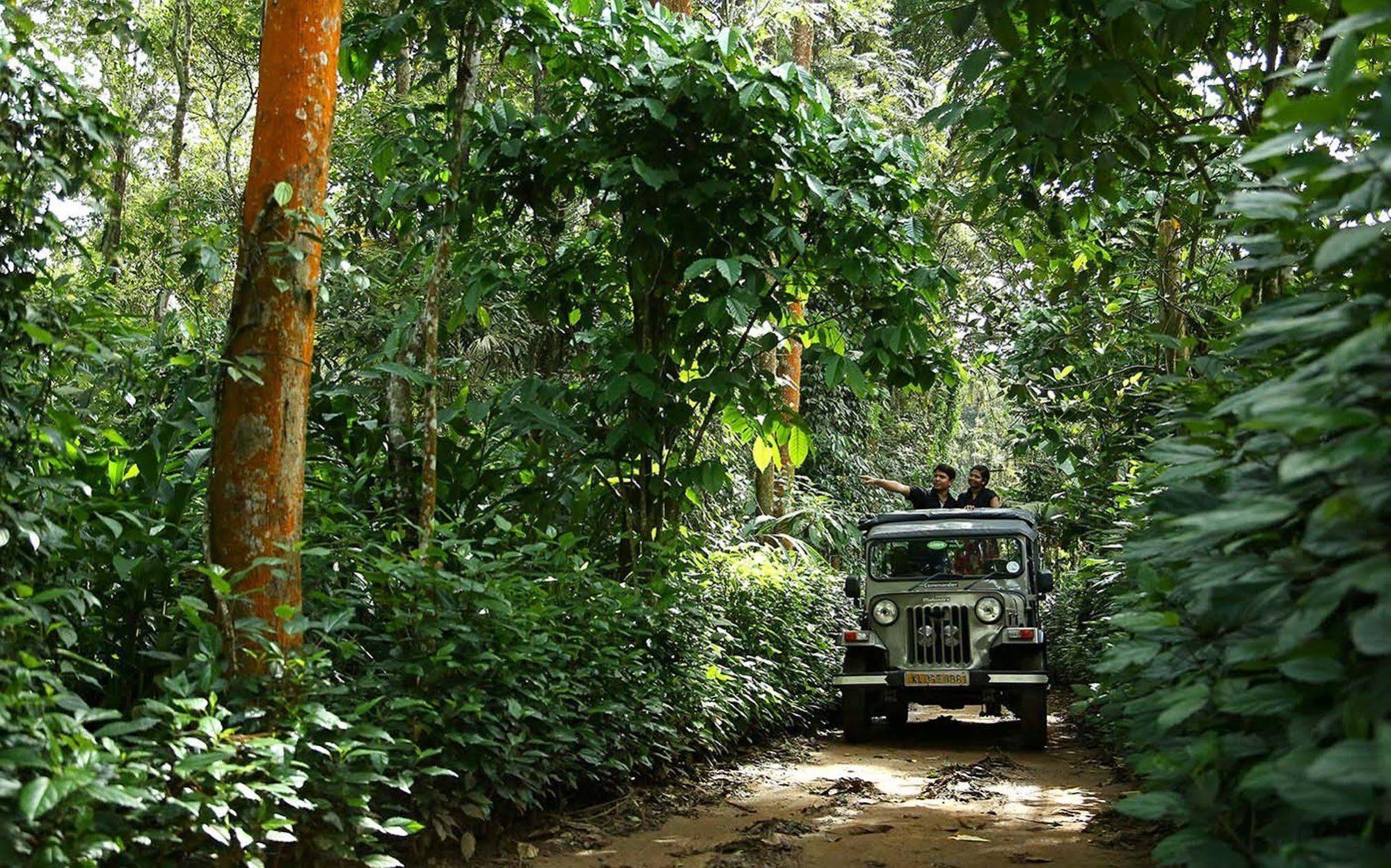 Elephant Court Thekkady Esterno foto